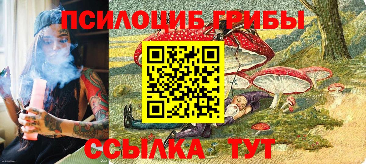 Псилоцибиновые грибы ЛСД  Вход с VPN  Галлюциногенные грибы мицелий  Алатырь 